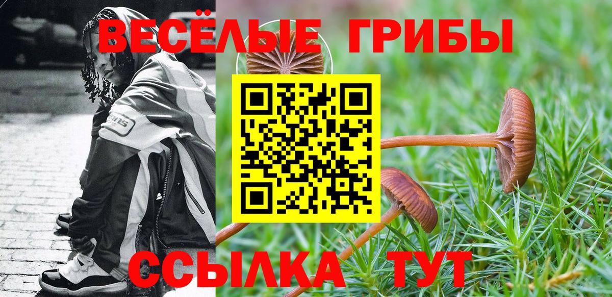 Псилоцибиновые грибы Cubensis Тобольск